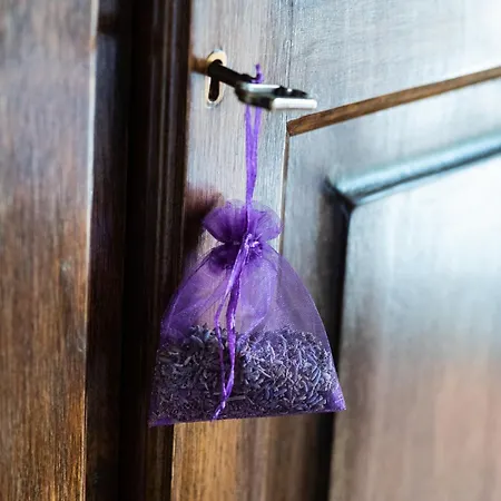 Calvisihome - Eleganza E Comfort Sul Gran Sasso Castelvecchio Calvisio