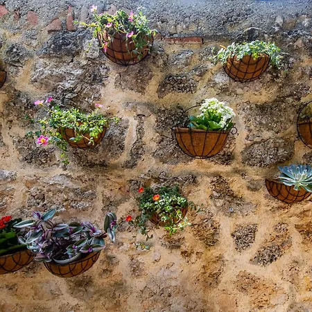 Calvisihome - Eleganza E Comfort Sul Gran Sasso בית נופש Castelvecchio Calvisio