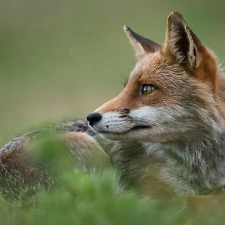 Calvisihome - Eleganza E Comfort Sul Gran Sasso *