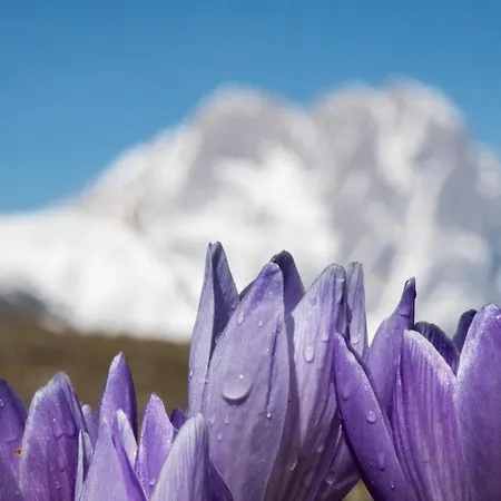 Nyaraló Calvisihome - Eleganza E Comfort Sul Gran Sasso *