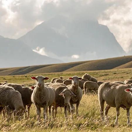 펜션 Calvisihome - Eleganza E Comfort Sul Gran Sasso