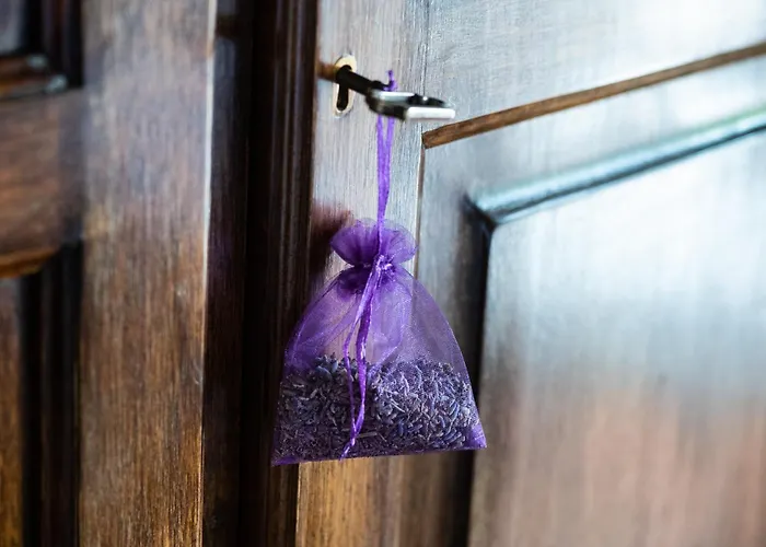 Calvisihome - Eleganza E Comfort Sul Gran Sasso Castelvecchio Calvisio