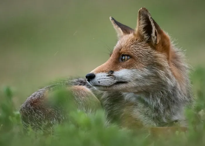 Calvisihome - Eleganza E Comfort Sul Gran Sasso *