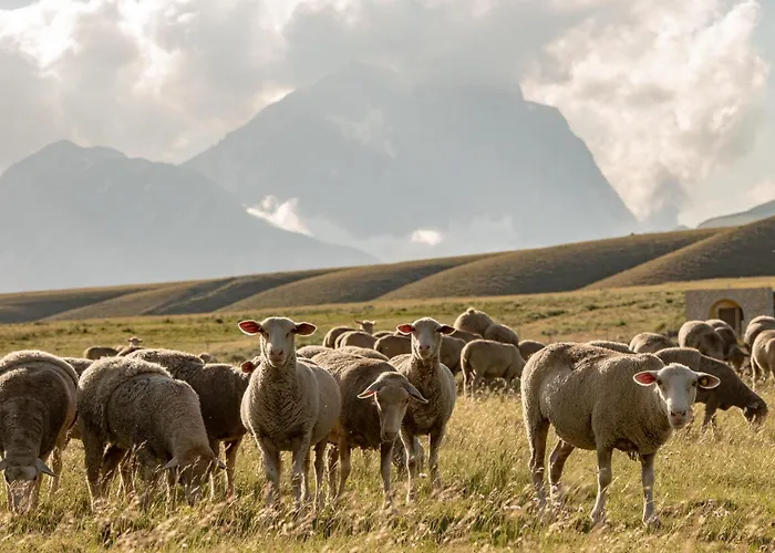 Holiday home Calvisihome - Eleganza E Comfort Sul Gran Sasso